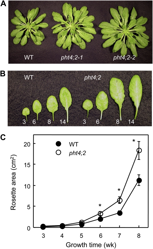 Figure 7.