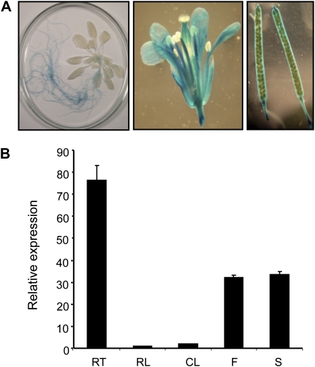 Figure 1.