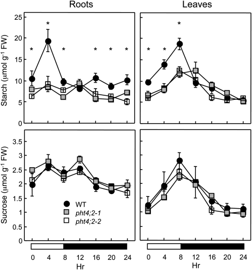 Figure 5.