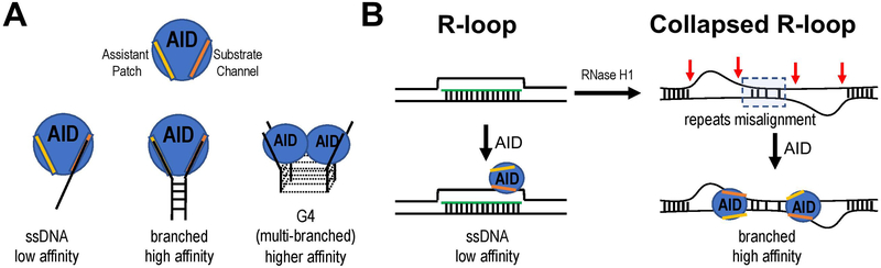 Figure 6.