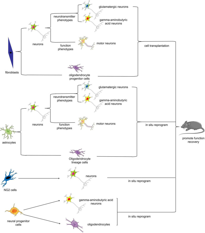 FIGURE 2