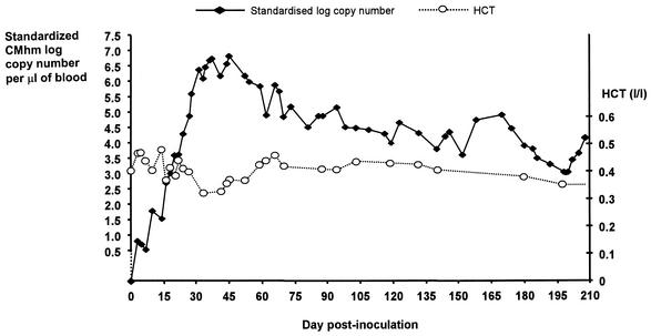 FIG. 2.