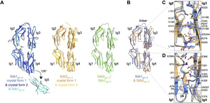 Figure 2.