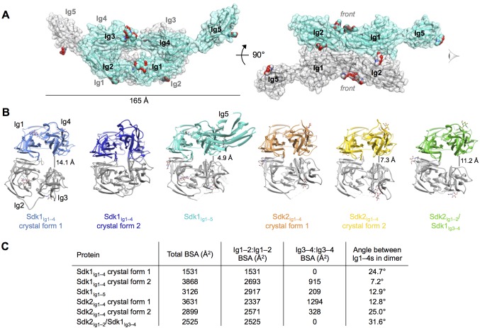 Figure 3.