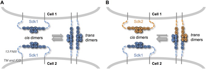 Figure 7.