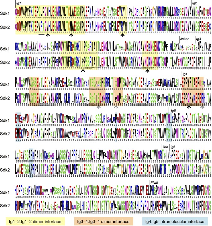 Figure 4—figure supplement 1.