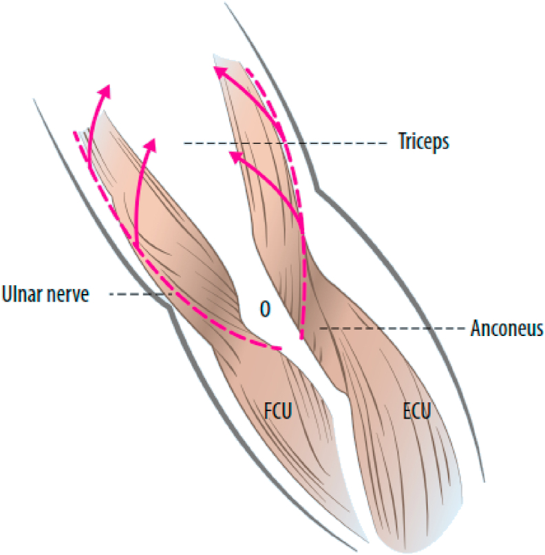 Fig. 6