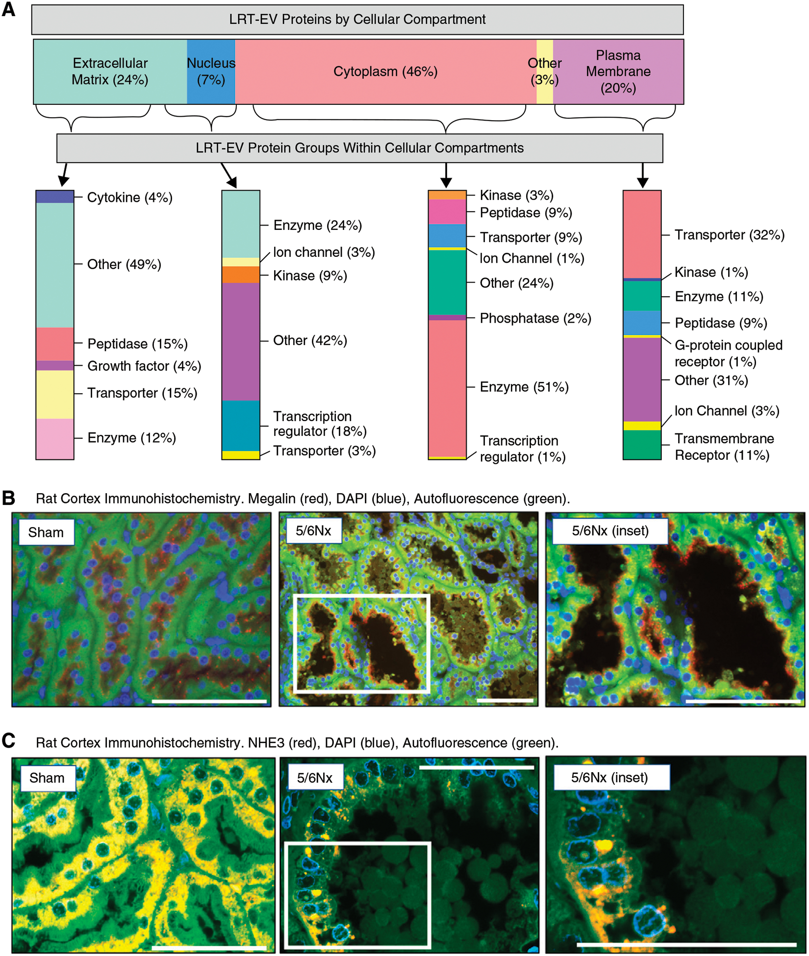 Figure 2. |