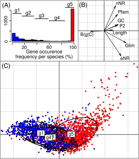 FIG. 3.—