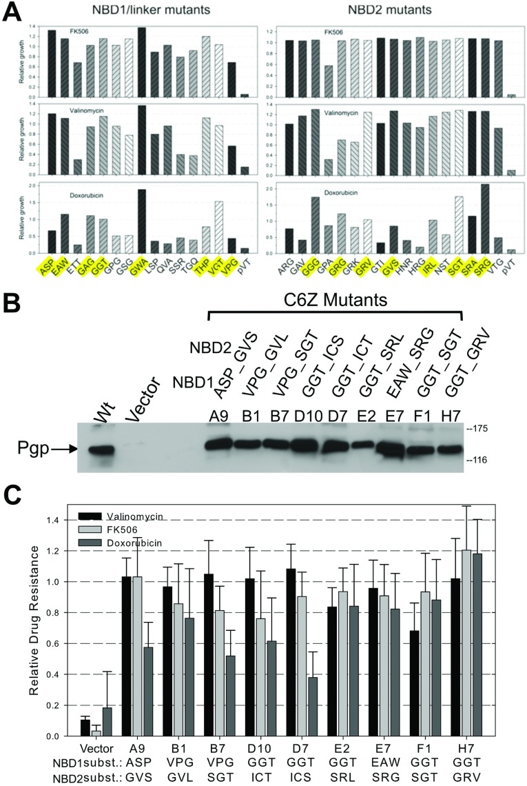 Figure 5