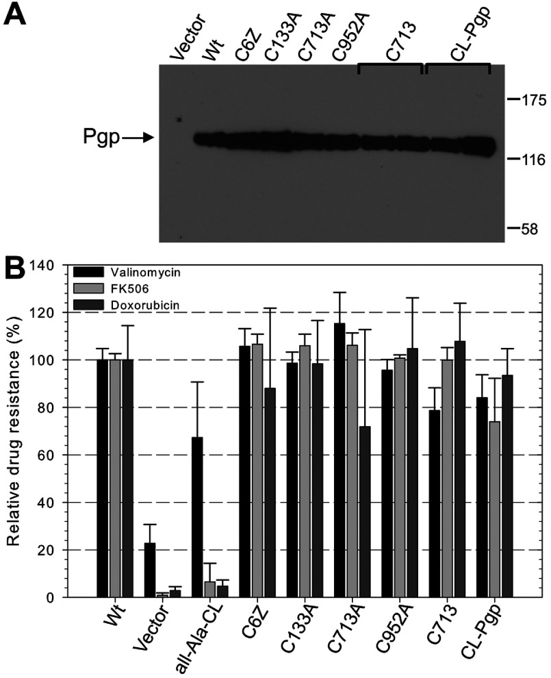 Figure 6