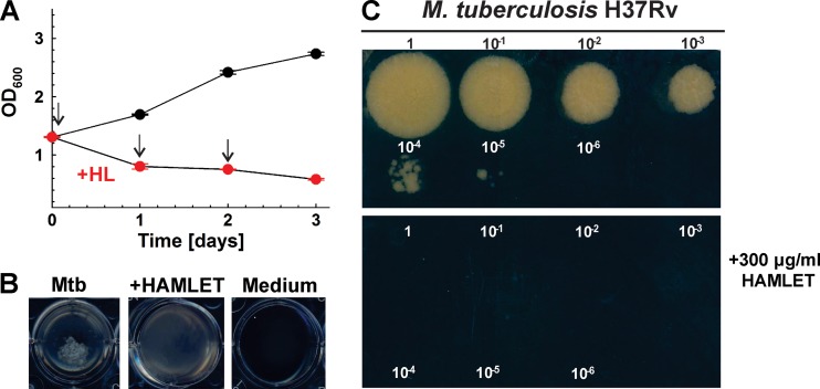 FIG 2