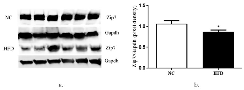 Figure 7