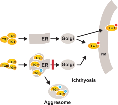 FIGURE 10.