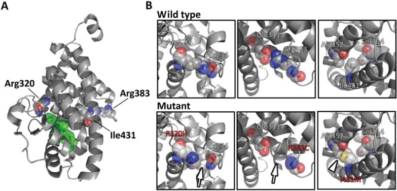 Fig. 3