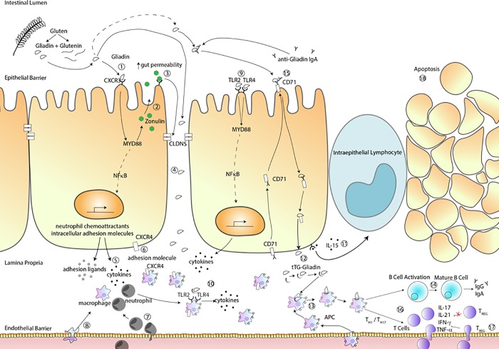 Fig 3