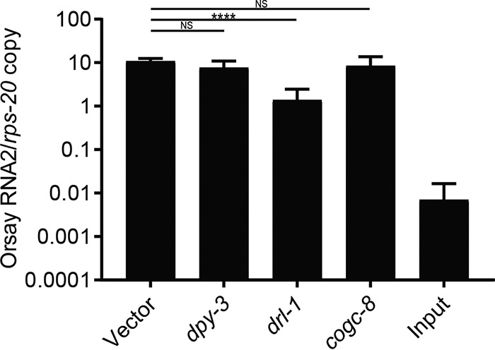 FIG 2