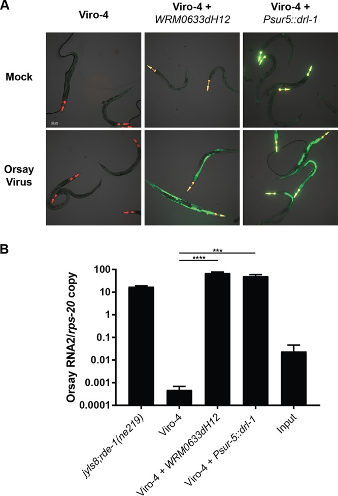 FIG 3