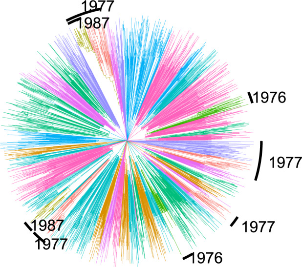 Figure 7.