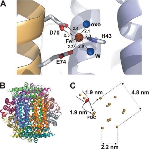 FIGURE 3.