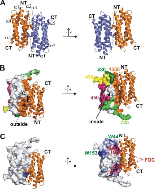 FIGURE 2.