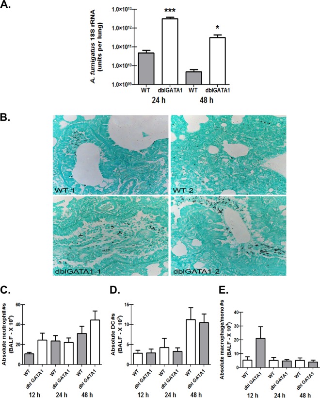 FIG 2