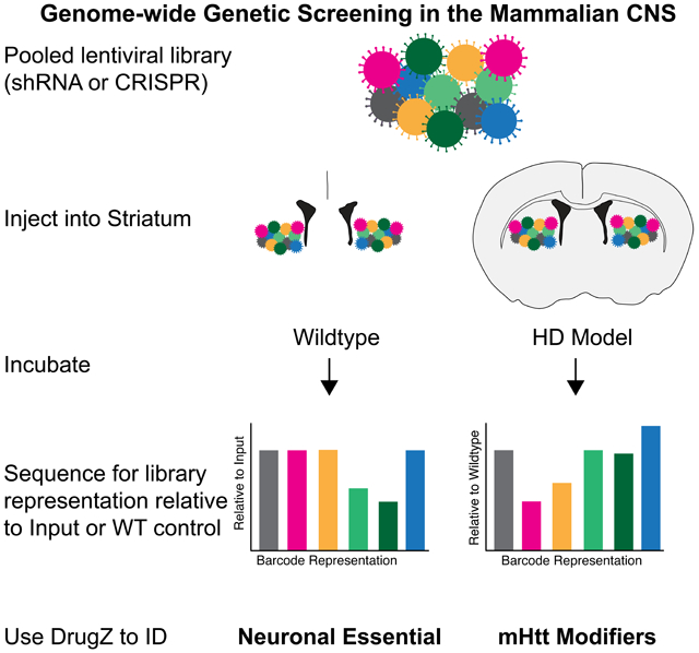 graphic file with name nihms-1569339-f0001.jpg