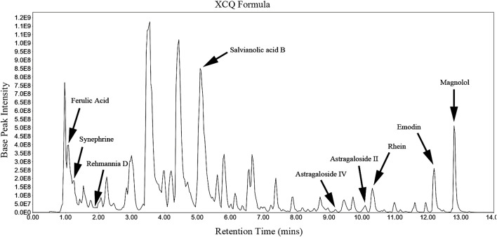 FIGURE 1