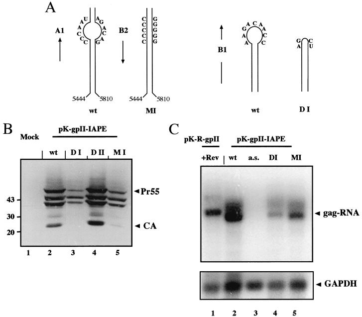 FIG. 5