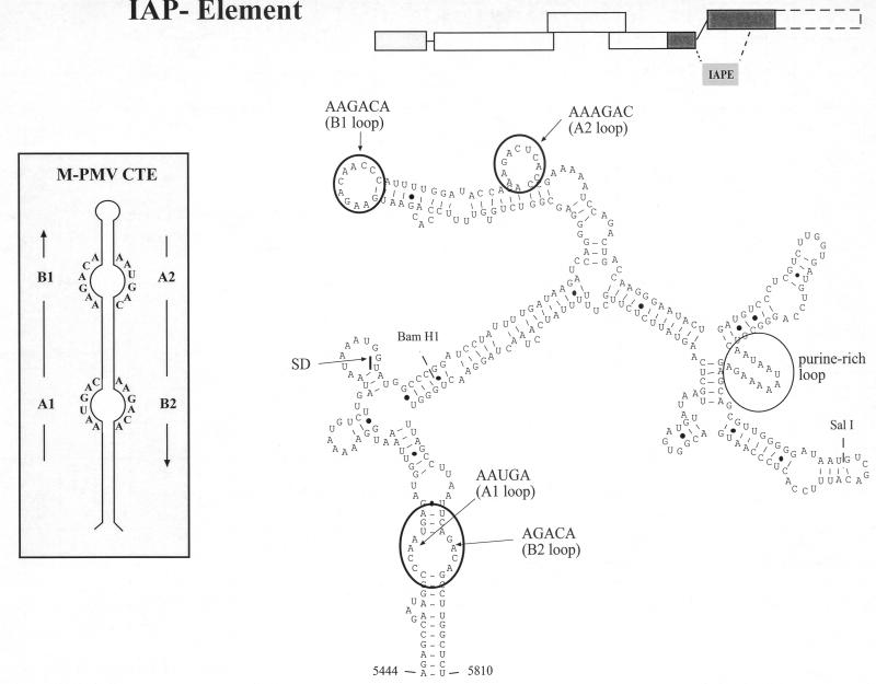 FIG. 4