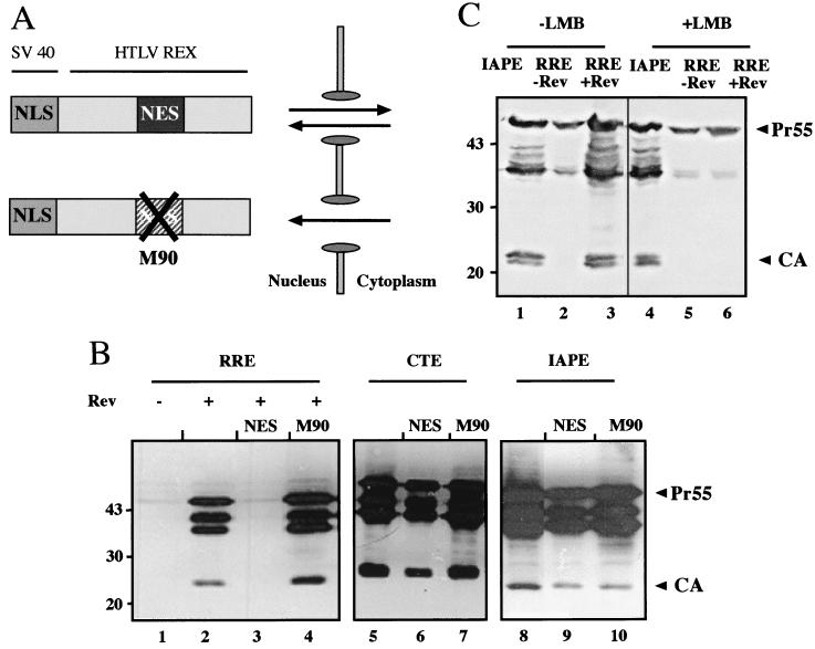 FIG. 6