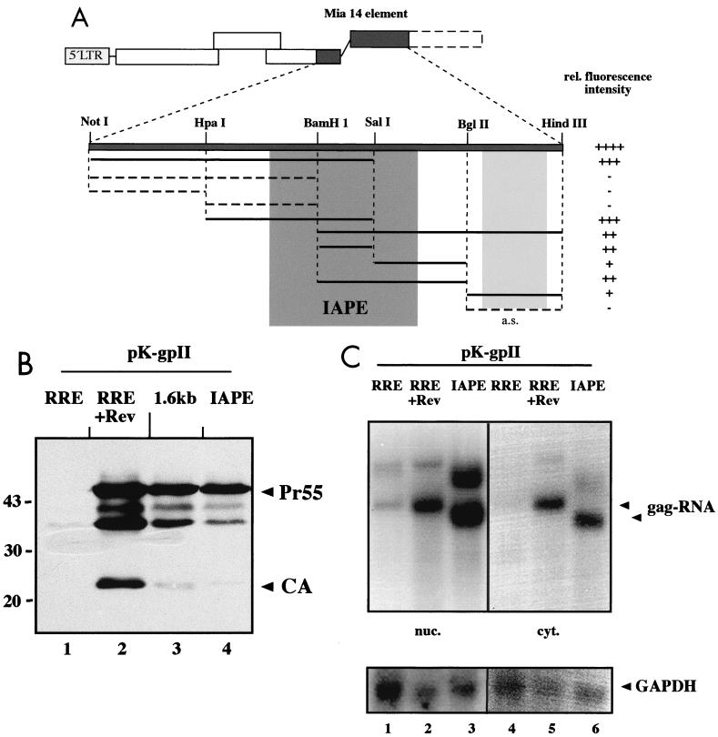 FIG. 3