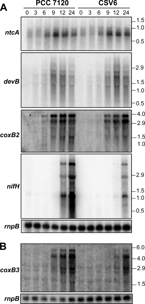 FIG. 7.