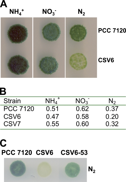 FIG. 6.