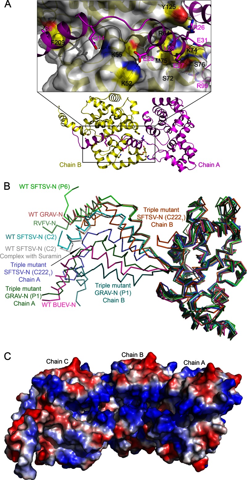 Fig 3