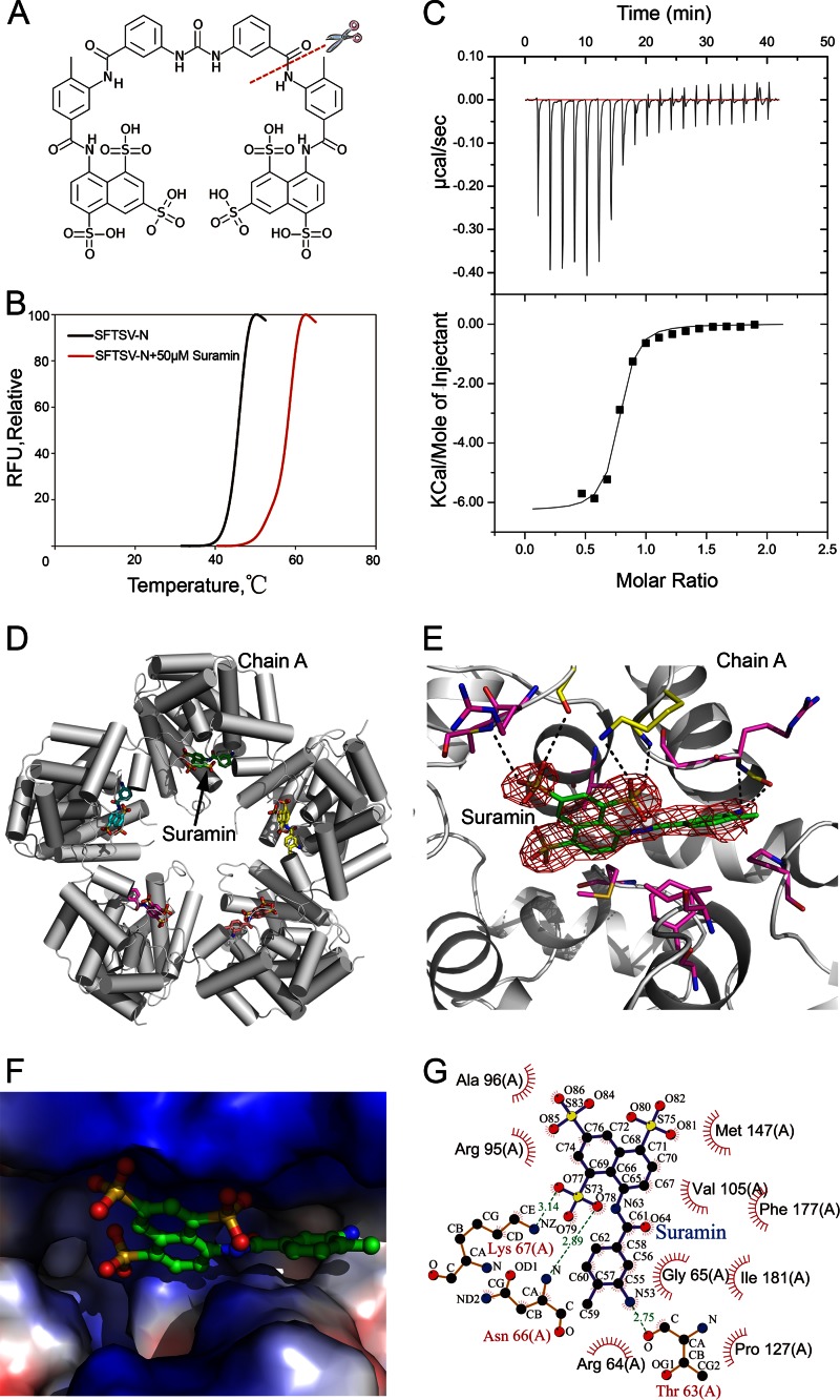 Fig 4