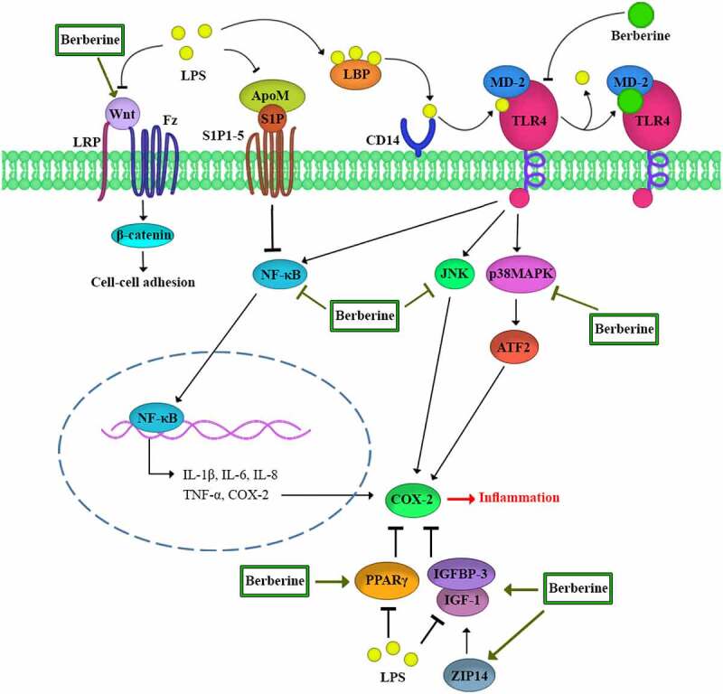 Figure 2.