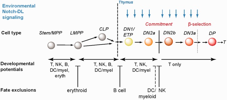 Figure 2: