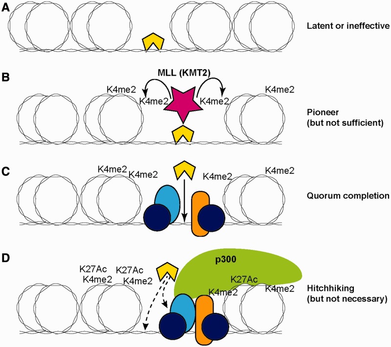 Figure 1: