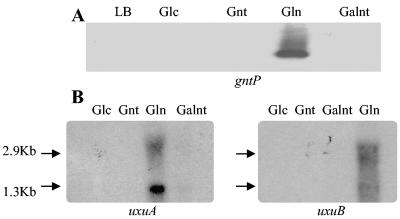 FIG. 2.