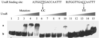 FIG. 5.