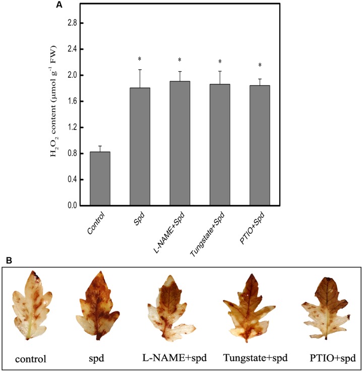 FIGURE 4