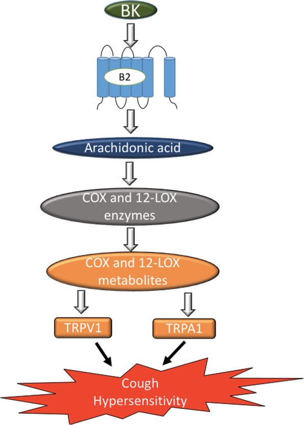 Fig. 10