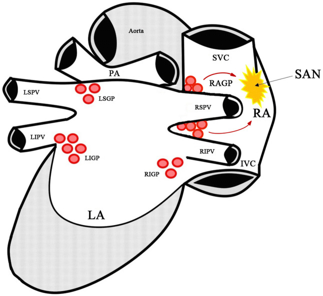 Fig. 5