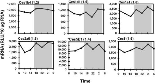 Fig. 5.