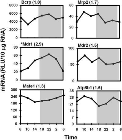 Fig. 10.