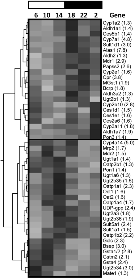 Fig. 12.