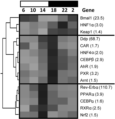 Fig. 13.