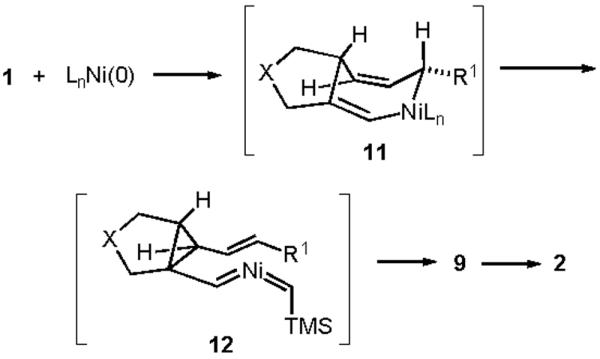 Scheme 3