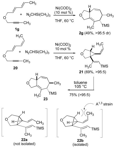 Scheme 5